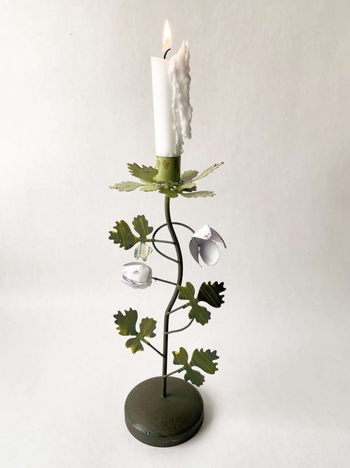 Hovedbilde Hvit/lilla - Klematis ...