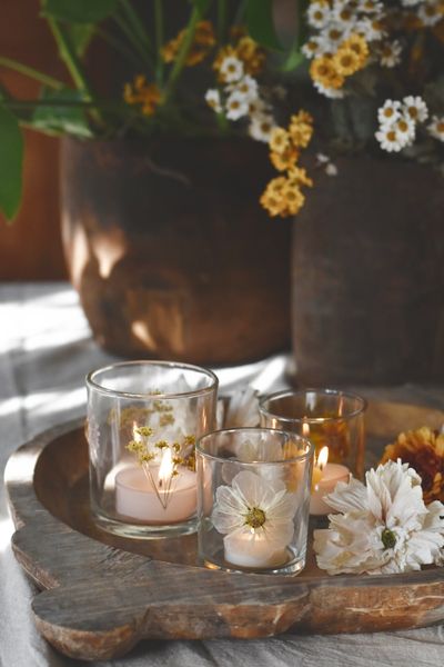 Hovedbilde Natur - botanikk lysglass