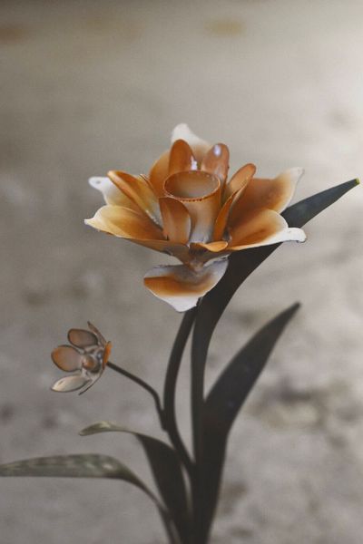 Hovedbilde Narciss - Lysestake