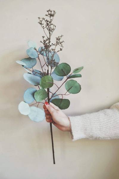 Bilde av Grnn - Eucalyptus 60 cm 