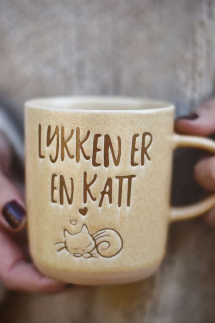 Hovedbilde 