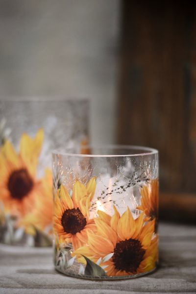 Hovedbilde Solsikke - Krakelert Lite ...