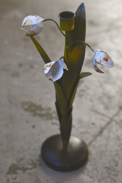 Hovedbilde Hvit- Snøklokke Lysestake 30 ...