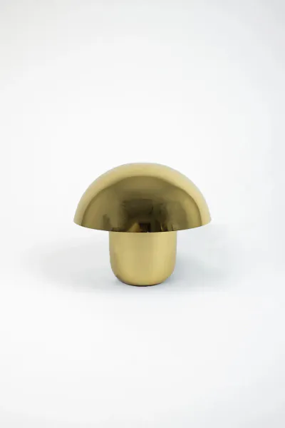 Hovedbilde Gull - Carl Johan Liten ...