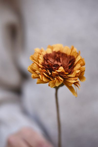 Hovedbilde Gul - Gerbera Papirblomst 30 ...