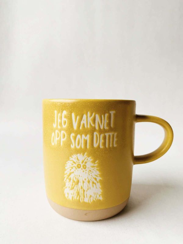 «Jeg Våknet Opp Som Dette« - Krus