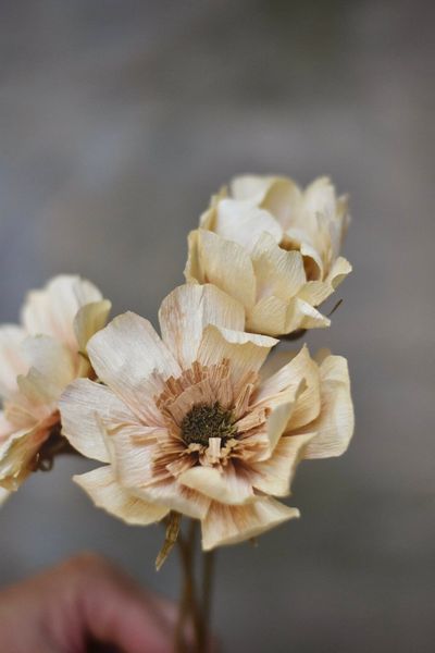 Hovedbilde Krem - Papirblomst 30 cm 