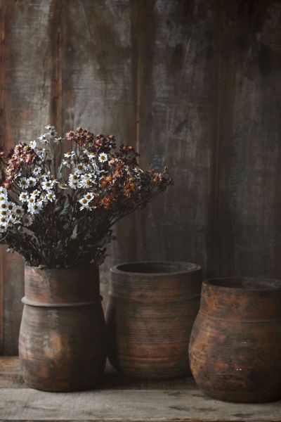 Hovedbilde Himachal - Vintage Trepotter