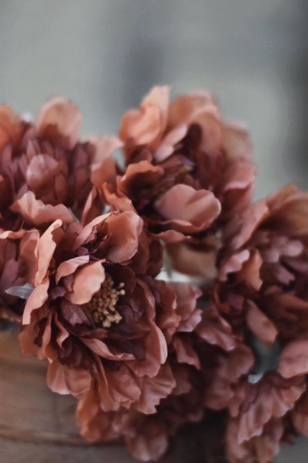 Hovedbilde Rust - Blomst 30 cm 